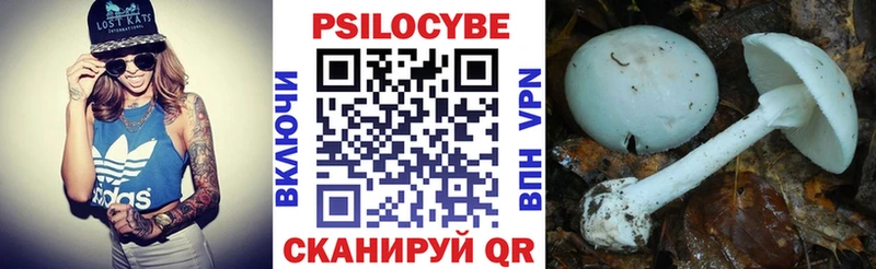 Купить где  Спасск-Дальний  Псилоцибиновые грибы Cubensis 